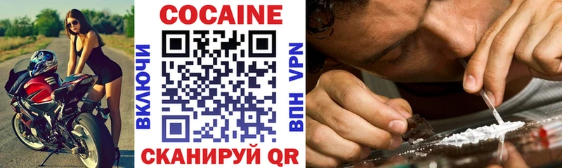 продажа наркотиков  Цимлянск  COCAIN FishScale 