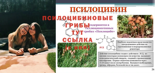 первитин Медвежьегорск